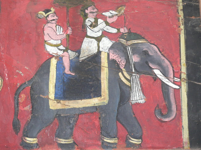 elephant_07