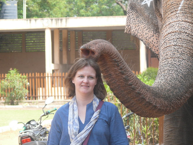 elephant_10