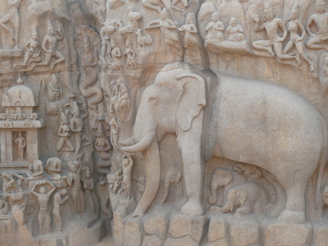 elephant_12