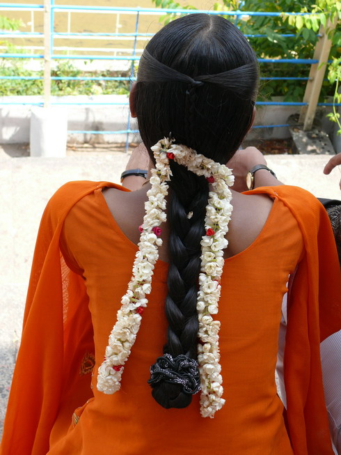 jasmin