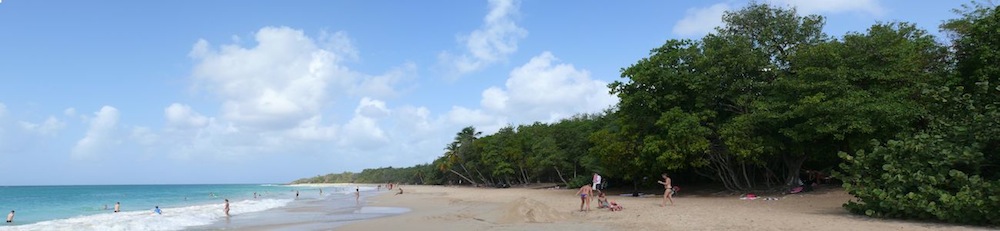 pano2.jpg